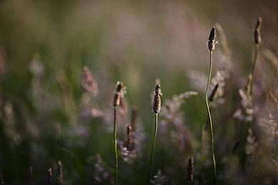 青春RPG《LOOP 8 降神》预告 游戏2022年发售